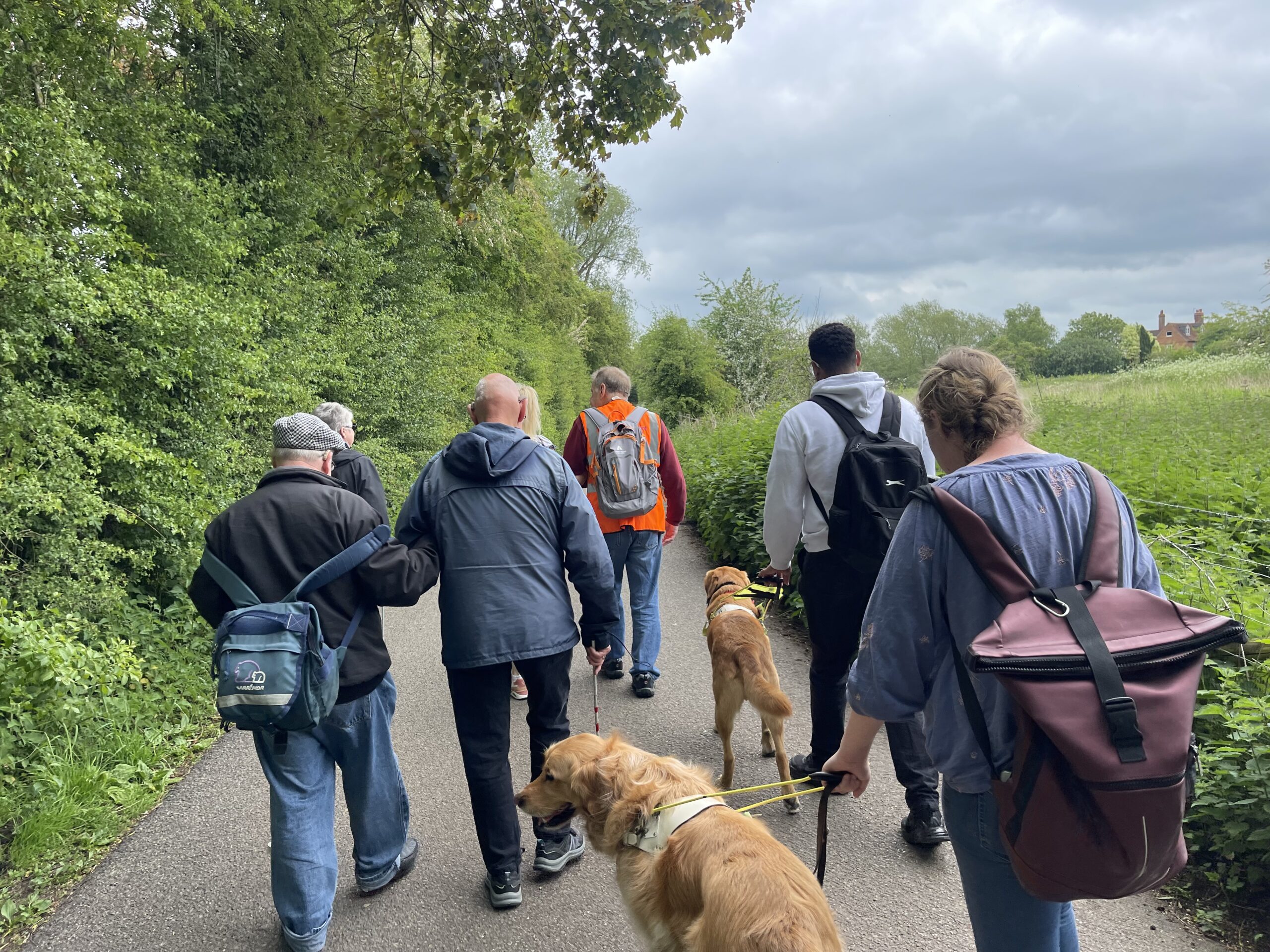 A group of people on a walk. One person has a guide dog.