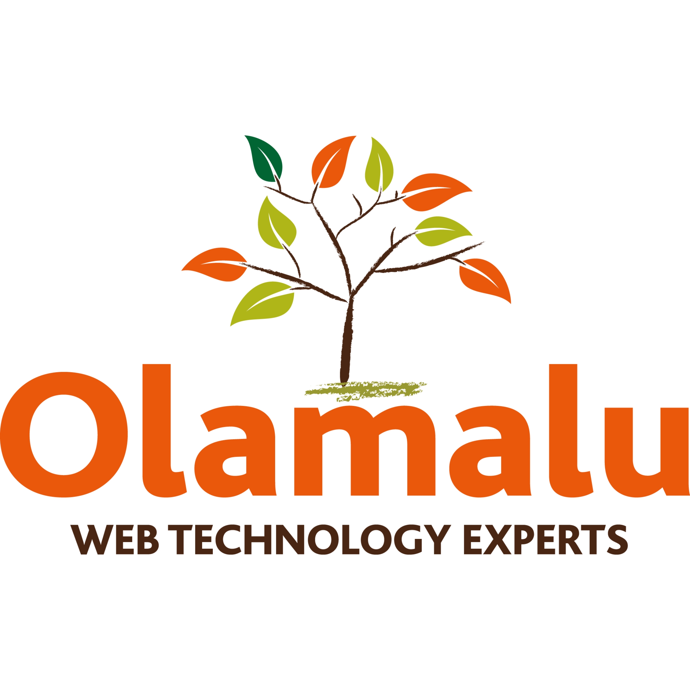 The Olamalu web technology experts logo with a tree above the m